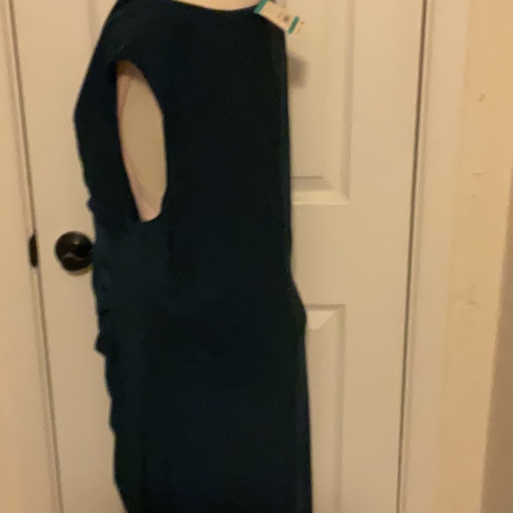 ANNE KLEIN Juniper Dress Size 16 NWT Retail $99 LAST ONE - Picture 5 of 6